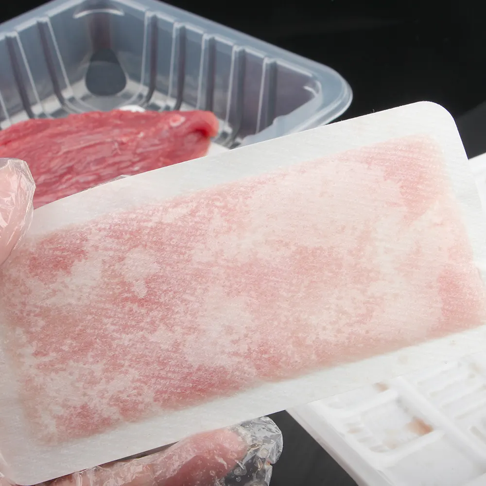 Bantalan penyerap es beku, berkualitas tinggi dan ramah lingkungan untuk cairan darah unggas daging segar