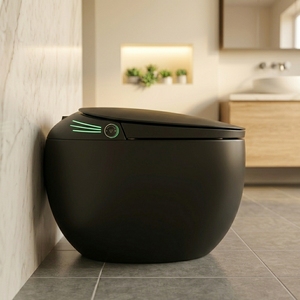 WC intelligent haut de gamme avec bidet intégré, design œuf gris Watermark, double chasse, sanitaires à poser au sol, cuvette de toilette en forme d'œuf - Product Image 1