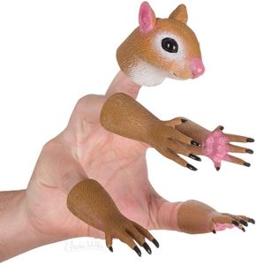 Juego de 5 Marionetas de Mano de Gato al por Mayor, Cabeza y Extremidades de Vinilo, Marioneta de Dedo de Animal (Esquilo) para Niños - Product Image 1