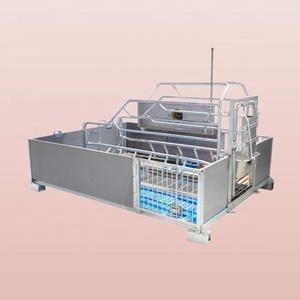 Prix d'usine Nouvelle cage de maternité pour porcs en acier galvanisé à chaud anti-corrosion, durée de vie de 15 à 25 ans, système d'alimentation entièrement automatique - Product Image 6