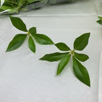 Daun Helleborus Buatan Berkualitas Tinggi dengan Sentuhan Alami untuk Dekorasi Acara
