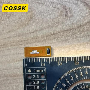 ISO14443A Chip Tag NFC FPC Kecil RFID Tahan Air Kartu Keanggotaan Kartu Bisnis Pembayaran Hotel Mini 13.56MHz Stiker Tag Label - Product Image 2