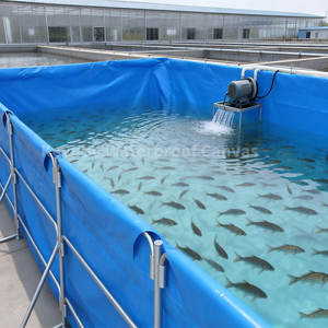 Bac d'aquaculture de qualité industrielle Keyubo 10*3*1.2m : Structure renforcée en tuyaux galvanisés et revêtement en PVC, Fourniture pour projets - Product Image 4