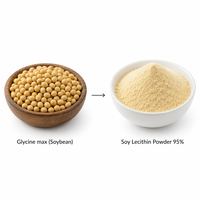 LCHBIO Poudre de lécithine de soja en vrac 95% insoluble dans l'acétone E322 CAS 8002-43-5 Émulsifiant pour gélules et extraction d'extraits végétaux