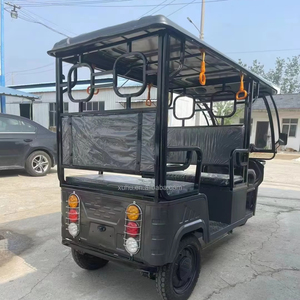 Sepeda roda tiga listrik 800W awet untuk dewasa, sepeda roda tiga kargo dan penumpang dengan <span class=keywords><strong>3</strong></span> roda - Product Image 1