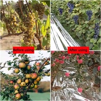 Appelboomgaardteelt: verhoogde vruchtengroei, energiebesparing, zilveren reflecterende blaasgegoten mulchfolie