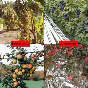 Film de paillage réfléchissant argenté moulé par soufflage pour l'agriculture des vergers de pommes : favorise la croissance des fruits et économise l'énergie - Product Image 6