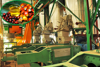 Industriële palmolieperslijn van 0,5t/u - 10t/u met sterilisator, separator, expeller en clarificatiemachine, aanpasbaar