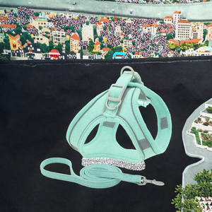 Ensemble de harnais pour chien en cuir PU personnalisé, laisse anti-traction solide, luxe, sport, XL, avec décoration en fourrure pour animaux de compagnie - Product Image 3