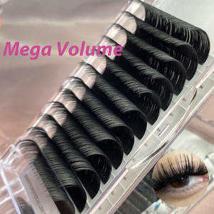 Großhandel Seiden-Wimpern 0,03 0,05 0,07 C CC D DD Matt Schwarz Wimpernverlängerung mit Eigenem Logo Kaschmir Matt Schwarze Wimpern - Product Image 4