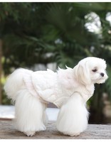 Robe d'hiver de luxe mignonne en dentelle pour animaux de compagnie, avec nœud, vêtements doux pour petits chiens, anti-chute de poils pour Bichon, vente en gros, logo personnalisé