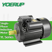 Moteur électrique série YL 0,55 kW 2P 2 pôles 2800 tr/min, moteur asynchrone monophasé à condensateur à deux valeurs, qualité domestique
