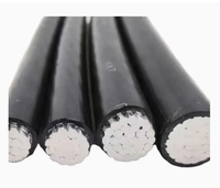 Aluminium NFA2X 0,6/1kV XLPE Luftbündelkabel für Bauarbeiten Aluminiumleiterkabel Belüftetes Kabel