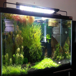 Iluminación <span class=keywords><strong>de</strong></span> Acuario, campana <span class=keywords><strong>de</strong></span> luz con soporte extensible, luces LED blancas y azules, lámpara <span class=keywords><strong>de</strong></span> selva tropical - Product Image 2