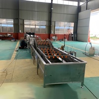 Productielijn voor het reinigen van ingelegde groenten en fruit