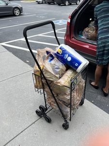 Chariot pliable portable à cadre en fer, capacité de charge de 100 kg, pour les courses, la pêche, le camping, l'utilisation industrielle - OEM personnalisé - Product Image 5