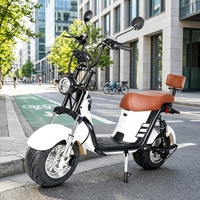 Ventes en forte croissance au Brésil : Scooter électrique 1000W avec batterie au lithium, freins à disque hydrauliques, capteur, application, Citycoco pour adultes