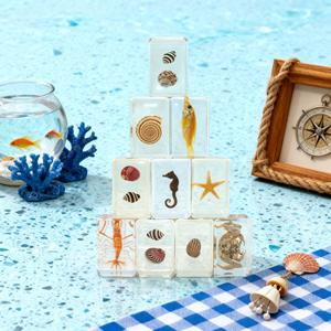 Vỏ <span class=keywords><strong>S</strong></span>ò Biển Mẫu Vật Vỏ <span class=keywords><strong>S</strong></span>ò Biển Lớn Trong Nhựa - Product Image 6