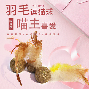 Bola de juguete de plumas de hierba gatera interactiva, palillo de dentición de plástico de menta Natural para gatos, para limpieza de dientes - Product Image 1