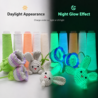 Fil Lumineux qui Brille dans le Noir pour Tricot, Crochet, Tissage, Broderie, Jouets, Artisanat, Sacs et Accessoires DIY OEM ODM