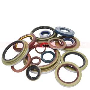 High Quality 2024 New Various Types High-Temperature NBR FKM Silicone Lips Oil Seal Skeleton Rubber Oil Seal Valve Stem Seal