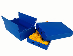Water Proof Durable Stackable Polypropylene Hollow nhựa sóng Poly Trái Cây Rau Đóng gói hộp lưu trữ <span class=keywords><strong>PP</strong></span> vận chuyển hộp - Product Image 2