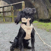 Harnais pour chat et chien respirant et durable, réglable, anti-traction, personnalisé avec impression sur mesure, marque privée, par un fabricant d'articles pour animaux de compagnie