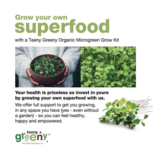 Bandeja <span class=keywords><strong>de</strong></span> germinación <span class=keywords><strong>de</strong></span> cerámica <span class=keywords><strong>de</strong></span> estilo moderno y campestre, Kit <span class=keywords><strong>de</strong></span> inicio redondo <span class=keywords><strong>de</strong></span> Microgreens con maceta para el hogar, cocina, jardín, guardería - Product Image 4