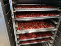 Machine de séchage alimentaire à vapeur pour farine de gluten de maïs, sucre, pomme de pinède et marc de pomme