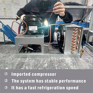 Commercial Single <strong>Temperature</strong> Electric Deep Freezer Refrigerator for <strong>Temperature</strong> <strong>Control</strong> - Product Image 4