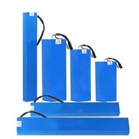 Batterie au lithium rechargeable personnalisée 36V 10Ah 20Ah 30Ah 40Ah avec BMS intégré pour trottinette électrique, vélo électrique, stockage solaire