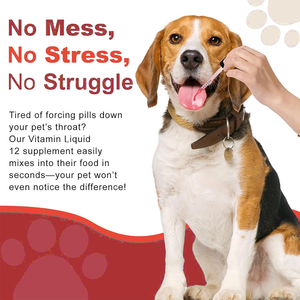 Stimulant de l'appétit pour chiens-Gouttes liquides de vitamine <span class=keywords><strong>B12</strong></span> (méthylcobalamine) stimule l'énergie de l'appétit Soutien immunitaire rapide - Product Image 5