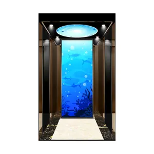 Best Selling Home-Use Elevator Luxury Villa Elevator 400KG Residential Elevator