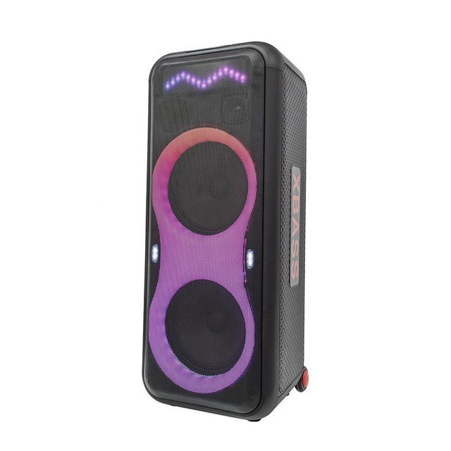 Portable Speaker Dual 10 Inch Portable DJ Karaoke Professional Multimedia Stereo Party Box 1000W Partybox Speaker