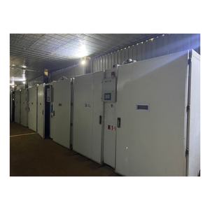 Incubadora Máquina de huevos para incubar huevos Incubadora de huevos a la venta Incubadora de huevos automática de Vietnam Fabricante de alta calidad - Product Image 3