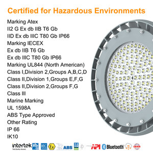 Lámpara a Prueba de Explosiones LED Bbier para Áreas Peligrosas, Aleación de Aluminio ATEX, 250W, Clasificación IP66, 5000K, 100-277V - Product Image 4