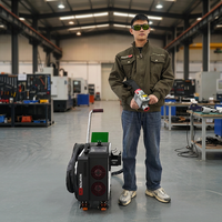 Machine de nettoyage au laser pour l'élimination de la rouille, de la peinture et des graffitis sur le bois