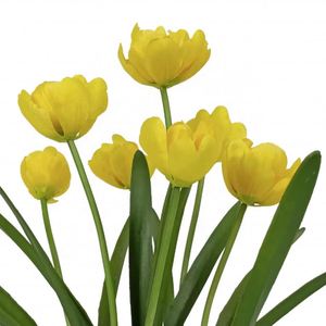 Flor de Tulipán Artificial de Plástico y Látex para Decoración de Bodas, Interiores, Exteriores y Hoteles - Product Image 4