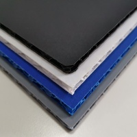 Panneau de Flight Case en PP alvéolé personnalisé avec structure sandwich légère