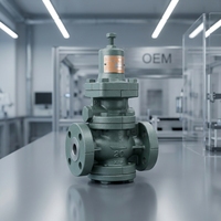 Vanne de régulation de débit en laiton personnalisée pour tuyau d'eau chaude, vanne de contrôle en ligne pour système de chauffage, système de chauffage central OEM