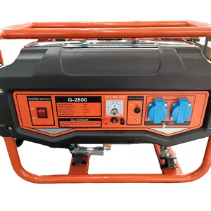 HOT PROFESSIONAL 2000w gasoline generators electric generator