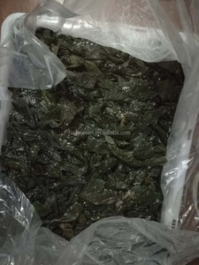 Vente en gros prix d'usine Algues fraîches congelées salées <span class=keywords><strong>Laminaria</strong></span> Kelp Knot - Product Image 4