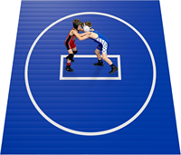 Aufblasbare Ringermatte DWF PVC 3x3m 4x4m 5x5m für Kampfsportarten Jiu Jitsu BJJ MMA Judo Fitness Turnen Training