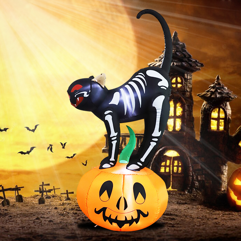 Calabaza de gato negro