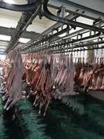 Machine professionnelle d'abattage de moutons, équipement d'abattage de chèvres pour abattoir halal, machinerie d'abattoir de bovins