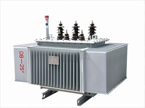 Transformador de Distribución de Energía Sumergido en Aceite SBH15 Yaoyi, 220V Trifásico, 6KV ANSI, Núcleo de Aleación Amorfa, 50/60Hz, Bobina Circular - Product Image 3