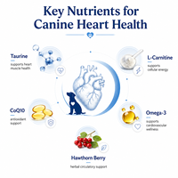 Complément alimentaire quotidien pour le soin du cœur des chiens, favorise la circulation et la vitalité pour toutes les races, développé par des vétérinaires, soutien cardiaque pour animaux de compagnie