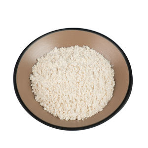 Ekstrak Biji Aprikot Organik 100% Bubuk Penggilingan Fisik Pasokan Massal Ekstrak Almond Pahit Bubuk Biji Aprikot - Product Image 1