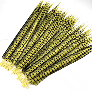 Bán Buôn Dài 100 120 Cm Lông Nhân Tạo Phụ Nữ Amherst Gà lôi Giả Lông Đảng Lễ Hội Samba Trang Phục Trang Trí - Product Image 4