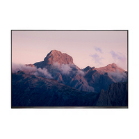 Monitor LCD TFT Microtech de 17 Pulgadas, Resolución 2560x1600, Antideslumbrante, Revestimiento 3H, Interfaz EDP de 40 Pines, Brillo de 600-1000 Nits, para Portátil